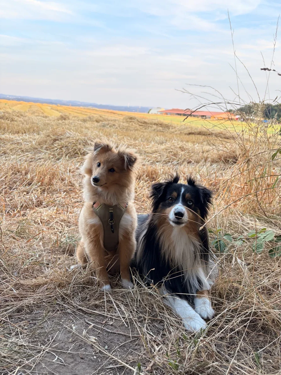 Frieda & Tilda